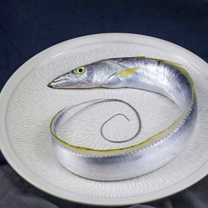 游福仙旗舰店天猫逃跑鲜生 黄边带鱼大段新鲜 冷冻刀鱼段东山岛生鲜