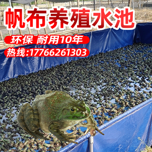 养殖牛蛙帆布池帆布鱼池菜蛙青蛙田鸡刀刮布水池水箱水袋蓄水池子