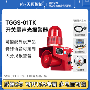 TGGS-01TK 开关量声光报警器 压力表 水侵探测器 温度控制仪 防水