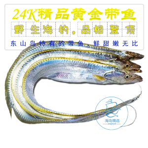 24k海钓纯野生黄金带鱼 东山岛新鲜活冻黄嘴带鱼刀鱼海鲜海产海鱼