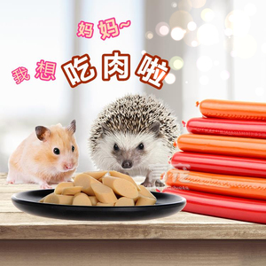 雪貂活体非洲迷你小蚊子用品龙猫饲料粮食食物零食v活体火腿肠仓鼠自己做防刺猬图片