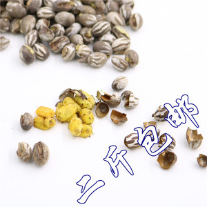 杨拉罐洋辣子洋辣子罐绿刺蛾洋辣子蛋坦克虫波刺毛鸟食冰钓