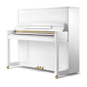 珠江钢琴正品恺撒堡