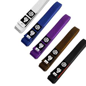 succulency x aesthetic 巴西柔术腰带