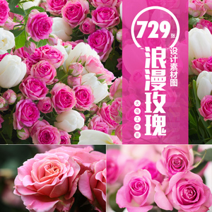 80笑笑图库淘宝鲜花蛋糕图片素材电子版图册生日蛋糕效果图宣传图