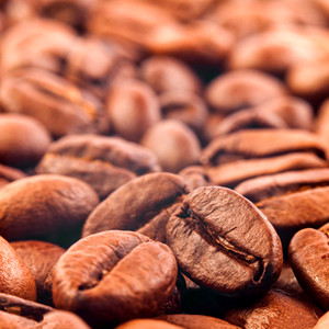 台湾品皇高品质优先黄金曼特宁咖啡豆 1磅/450g