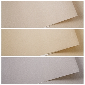 浅灰色米色素色墙纸餐厅酒店服装店简约纯色蚕丝纹咖啡色防水壁纸