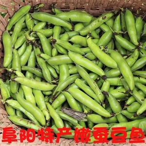 现摘阜阳特产嫩蚕豆鱼新鲜蚕豆吃皮兰花豆嫩带壳2斤蔬菜农家自种