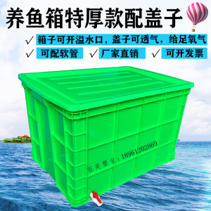 特大号养鱼龟箱加厚带排水口塑料箱透气孔水阀箱养殖周转箱可配盖