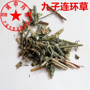 中药材 九子连环草500克 肉连环 一串钮子 九节虫 棕儿羊_阿里巴巴找
