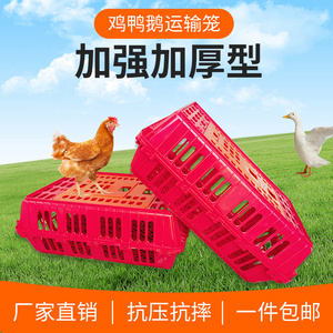 鸡笼周转箱鸡用运输筐成鸡鸭周转箱鸽兔用鸡运输笼塑料长方形加厚