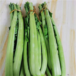 5斤青菜四川宜宾青菜杆芥菜农家自种新鲜蔬菜泡菜原料现砍现发