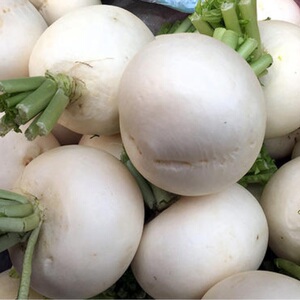 四川农家自种新鲜蔬菜圆白萝卜跳水萝卜泡菜萝卜5斤包邮现挖现发
