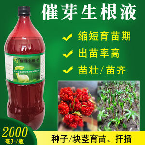 益富源催芽生根剂重楼种子块茎浸泡发芽黄精生姜崔芽育苗壮苗花卉