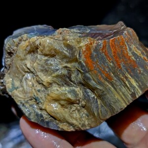 天然木化玉树化玉原石摆件收藏化石摆件礼品摆件玉石非战国红玛瑙