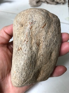 黑龙江天然蕨类植物化石白皮透草花玉桫椤玉原石雕刻料摆件451克