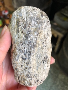 桫椤玉化石