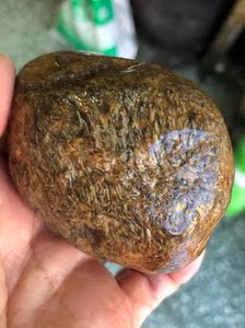 黑龙江天然明丝草花玉桫椤化石标本原石观赏石雕刻料271克