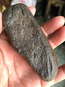黑龙江天然完整草花玉桫椤化石标本原石观赏石雕刻料手把件135克