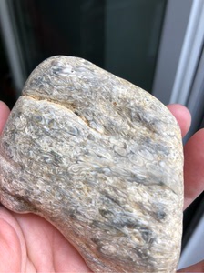 黑龙江天然大叶草花玉化石桫椤玉原石手把件雕刻料摆件186克