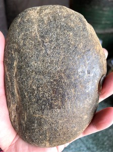 黑龙江天然草花玉桫椤玉原石雕刻料摆件玉化通透484克