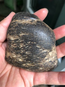 黑龙江天然草花玉化石桫椤玉原石手把件雕刻料摆件222克