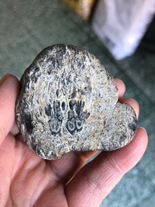 黑龙江天然大叶草花玉原石画面石鸳鸯双飞登普斯基蕨手把件82克