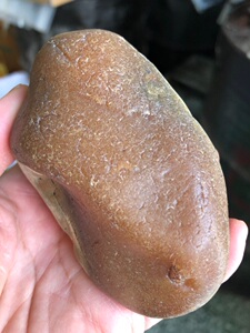 黑龙江天然树化蜡树化玉木化玉原石观赏石奇石雕刻料270克