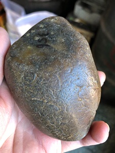 黑龙江天然树化蜡356克树化玉木化玉原石观赏石奇石雕刻料