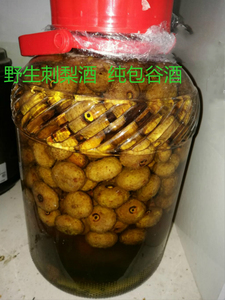湖北恩施利川特产纯野生刺梨酒 纯包谷酒泡制 无勾兑酒5斤起包邮