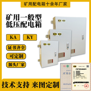 矿用配电箱低压金属矿井KAKY带矿安标志证书不锈钢开关动力成套柜