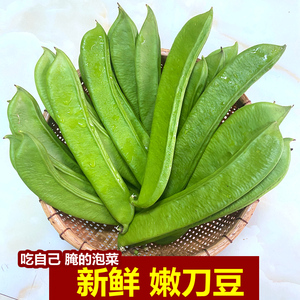 刀豆新鲜广西