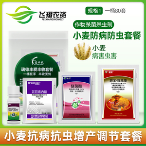 瑞德丰爱丰收套餐小麦抗病抗虫生长增产专用套餐包邮一套55g