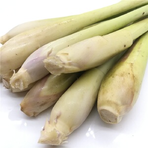 新鲜香茅柠檬草泰餐冬阴功汤调料原料东南亚调料fresh citronella