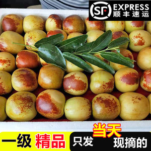 大青枣新鲜特级特大