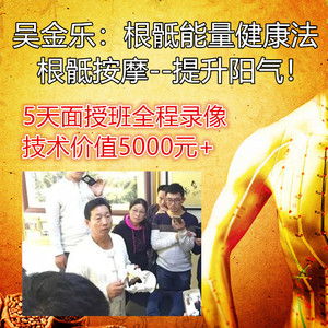 吴金乐根底骶能量按摩中医正骨推拿按摩针灸教学视频录像学习资料