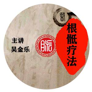 吴金乐根骶能量疗法 中医针灸针刀推拿正骨按摩学习视频课程录像
