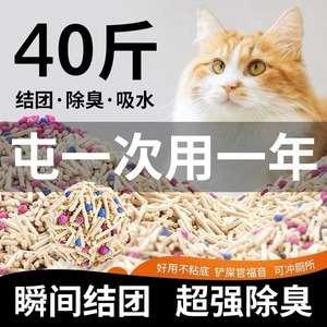 猫砂豆腐颗粒除臭无尘40斤去味结团20公斤包邮大袋装猫舍猫咪用品