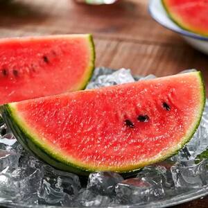 郑路珍珠红西瓜四枚礼盒装十斤顺丰德邦包邮破损包赔付当天采摘