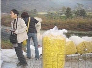 薄膜圆筒塑料布防水布加厚双层1米6米宽塑料袋圆筒透明桶筒型