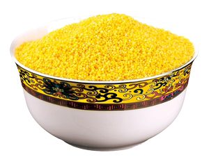 黑龙江肇源新小米黄小米宝宝米月子米古龙镇贡米1kg精品袋装包邮