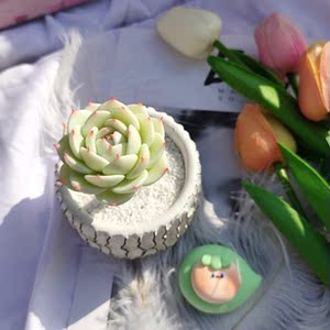 【山地玫瑰】纯手工树脂粘土水晶黏土仿真装饰品艺术多肉创意摆件