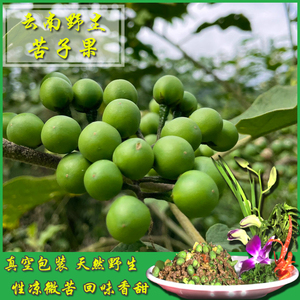 云南野生苦子果水茄苦茄苦果风味野菜版纳特产刺茄山巅茄1公斤