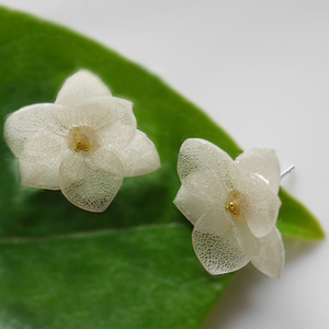 tb719869026淘宝永生花绣球真花长款耳环超仙时尚气质小众原创设计