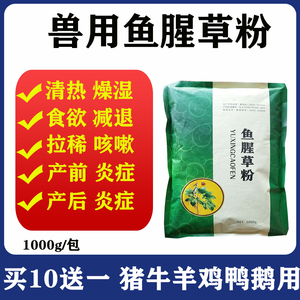 鱼腥草粉兽用鱼腥草末鸡鸭咳嗽母猪产前产后炎症子宫炎鸡拉稀咳嗽