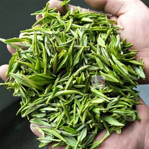 2018春茶明前二批早春茶叶新茶雅安名茶蒙顶甘露 50克装
