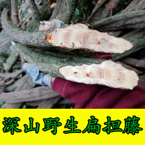 野生扁担藤 手工砍片 扁藤 大芦藤 铁带藤 扁骨风 腰带藤中药材