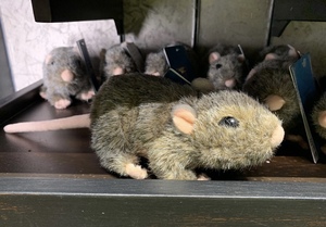 北京环球影哈利波特斑斑仿真老鼠公仔,罗恩.韦斯莱宠物毛绒玩具