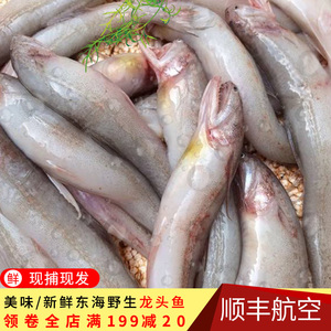老蔡九肚鱼新鲜豆腐鱼海鲜龙头鱼宝宝辅食野生海鱼现捕生鲜鱼250g