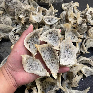 【聚燕堂燕窝】马来西亚重毛大燕盏 印尼重毛大盏 网批一件代发